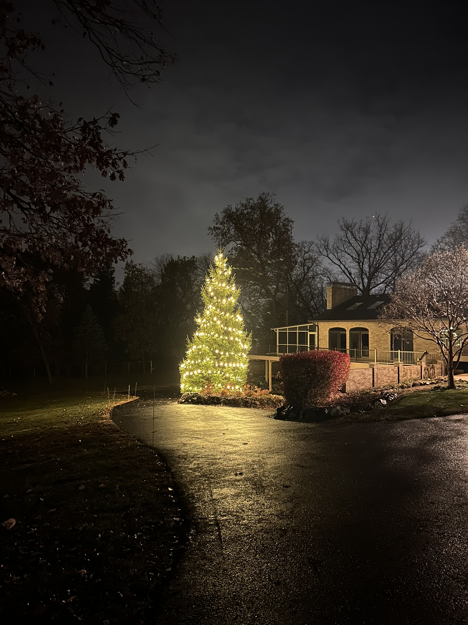 Professional Christmas lights Mokena IL